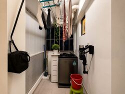 Blk 1C The Pinnacle@Duxton (Bukit Merah), HDB 4 Rooms #589980421
